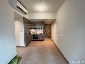 WETLAND SEASONS BAY 2期 1B座 - 28NTS – 香港北部都會區