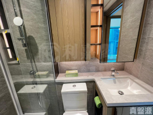 WETLAND SEASONS BAY 2期 1B座 - 28NTS – 香港北部都會區