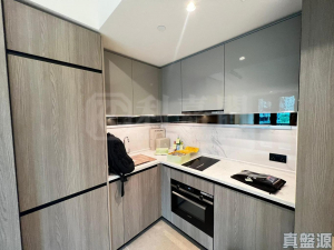 WETLAND SEASONS BAY 2期 1B座 - 28NTS – 香港北部都會區