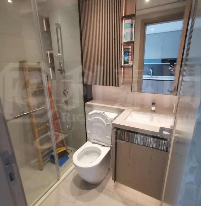 WETLAND SEASONS PARK 3期 1座 - 28NTS – 香港北部都會區