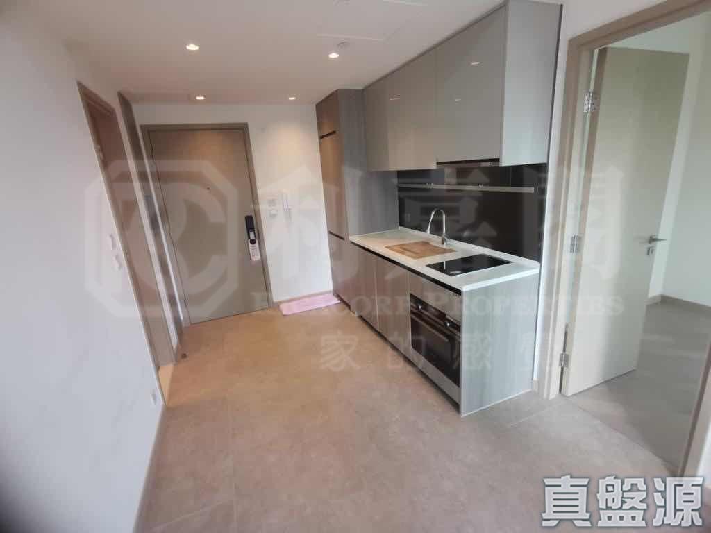 WETLAND SEASONS PARK 3期 1座 - 28NTS – 香港北部都會區