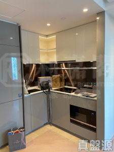 1762014227c67ce536-ae2f-4f77-8267-ca99800b9eb2.jpeg 御半山 1期 1B座 - 28NTS – 香港北部都會區