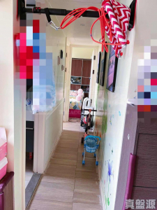 菁雋 - 28NTS – 香港北部都會區