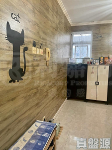 天盛苑 盛泉閣 (O座) - 28NTS – 香港北部都會區