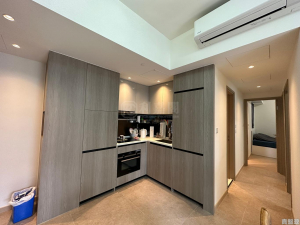 1762333345b249b696-3a88-49f2-8bbe-da831a623643.jpeg WETLAND SEASONS PARK 2期 2座 - 28NTS – 香港北部都會區