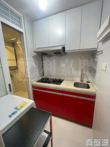 青華苑 華翔閣 (F座) - 28NTS – 香港北部都會區