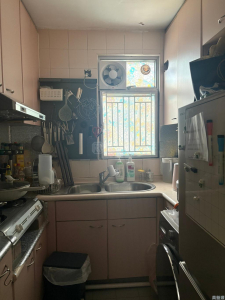 天盛苑 盛志閣 (F座) - 28NTS – 香港北部都會區