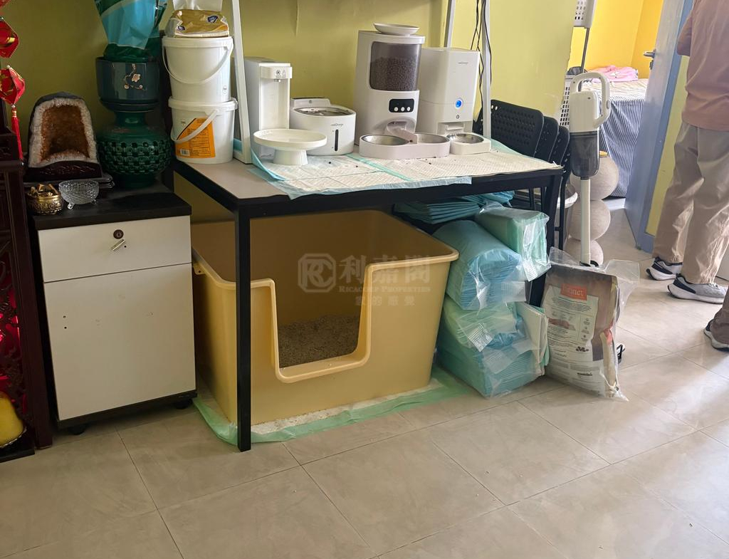 天盛苑 盛志閣 (F座) - 28NTS – 香港北部都會區