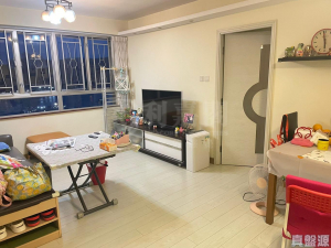 麗城花園 3期 4座 - 28NTS – 香港北部都會區