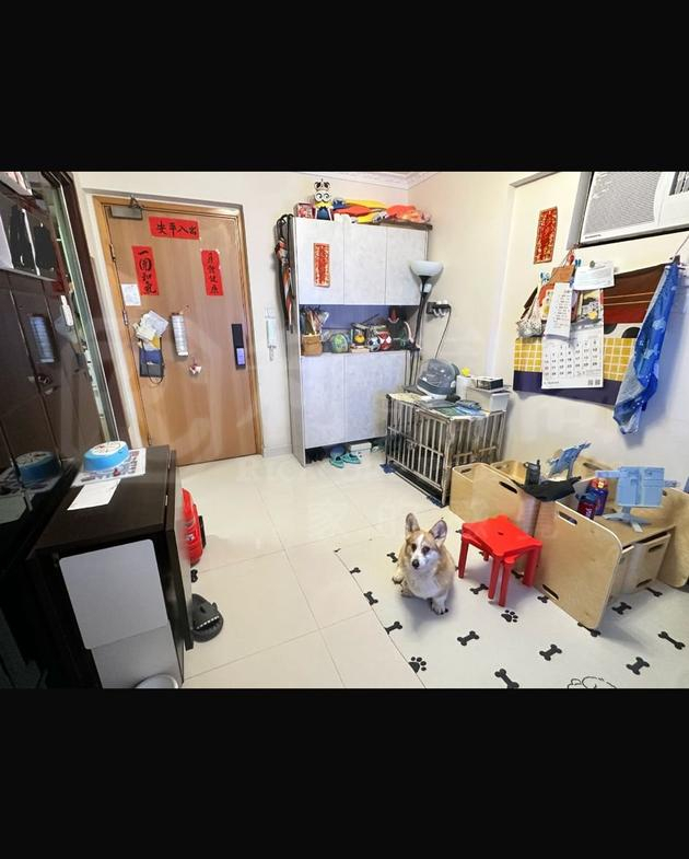 豫豐花園 11座 - 28NTS – 香港北部都會區