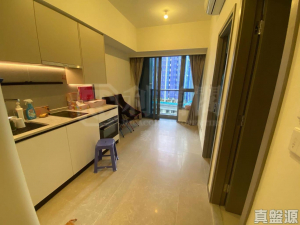 NOVO LAND 1B期 Bergen 3座 - 28NTS – 香港北部都會區