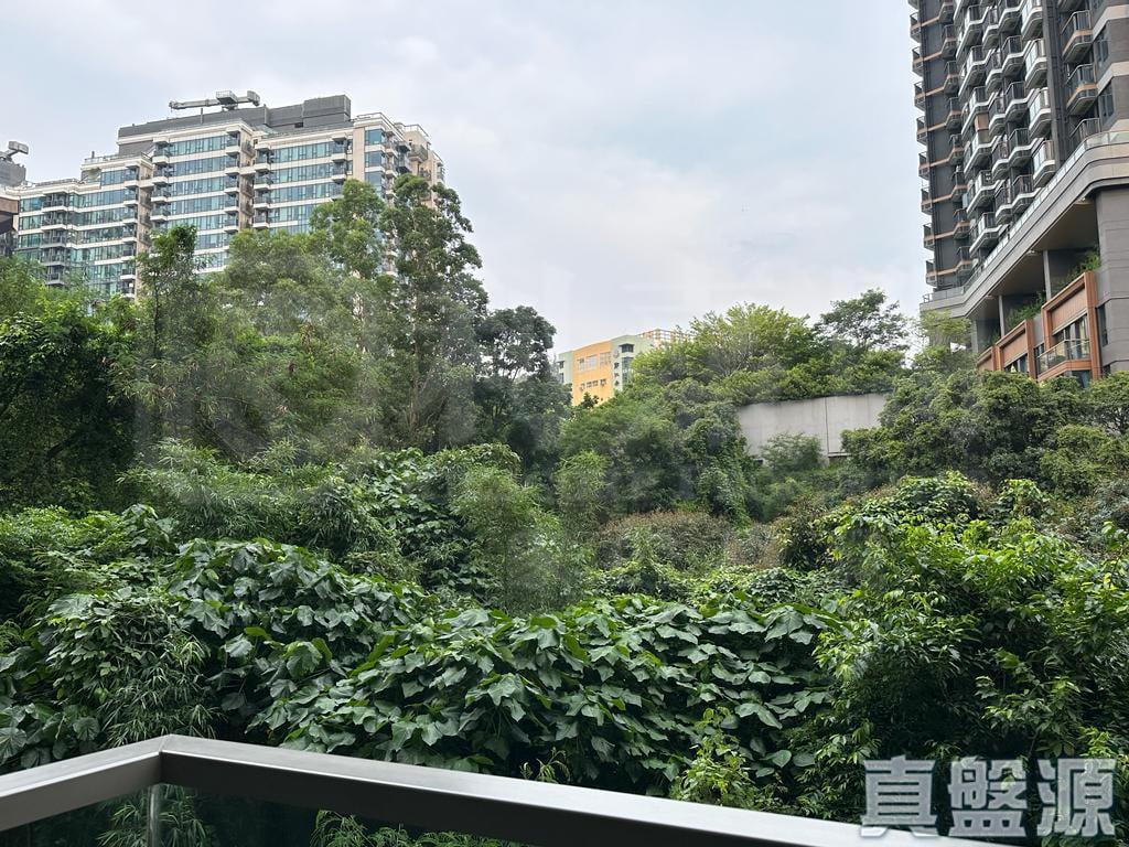 NAPA 6A座 - 28NTS – 香港北部都會區