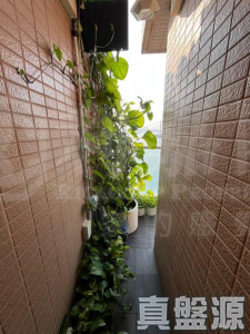 海雲軒 1座 - 28NTS – 香港北部都會區