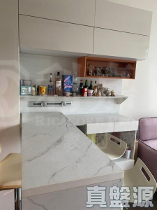 上源 1A座 - 28NTS – 香港北部都會區