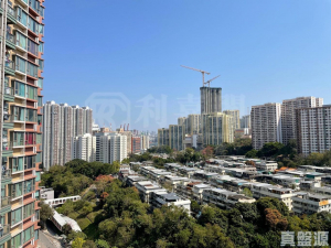 綠悠雅苑 1座 - 28NTS – 香港北部都會區