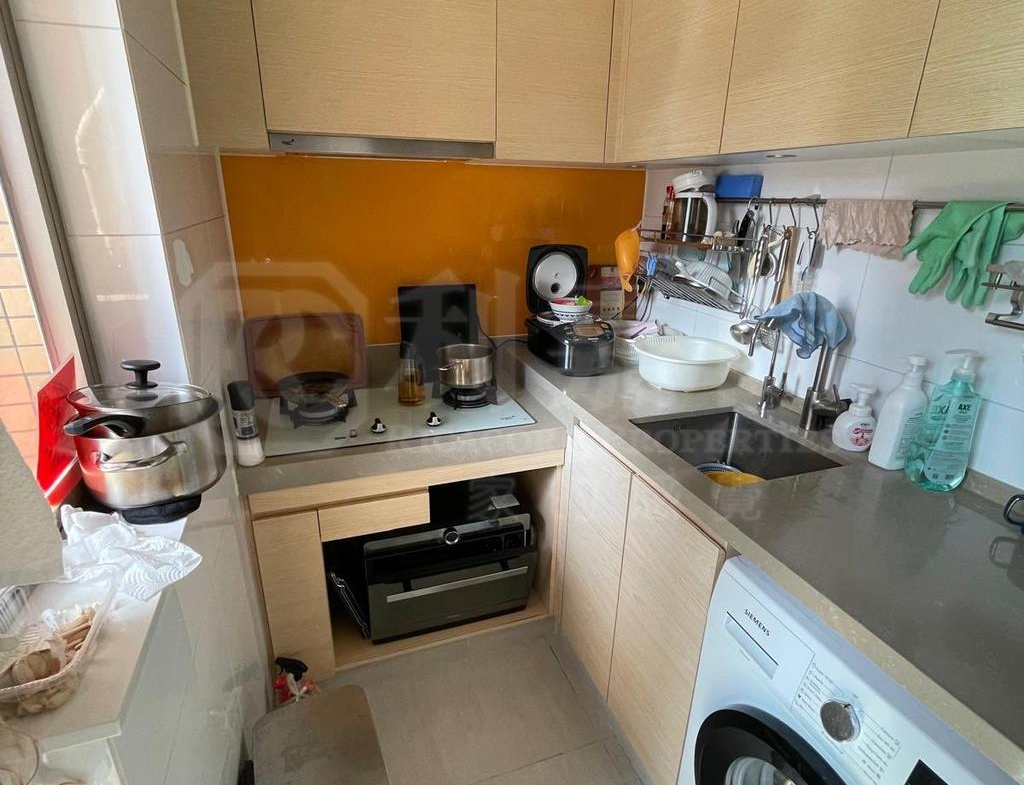 綠悠雅苑 1座 - 28NTS – 香港北部都會區