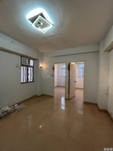 聯昇樓 - 28NTS – 香港北部都會區