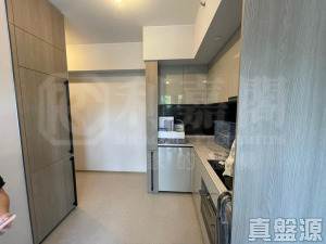 瑧頤 - 28NTS – 香港北部都會區