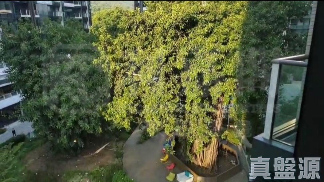 帝御 2期 帝御‧星濤 1座 - 28NTS – 香港北部都會區