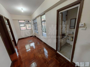 聯發洋樓 - 28NTS – 香港北部都會區