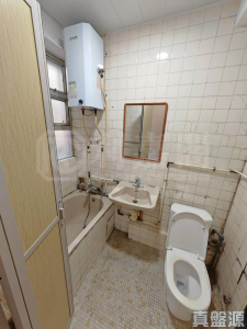 聯發洋樓 - 28NTS – 香港北部都會區