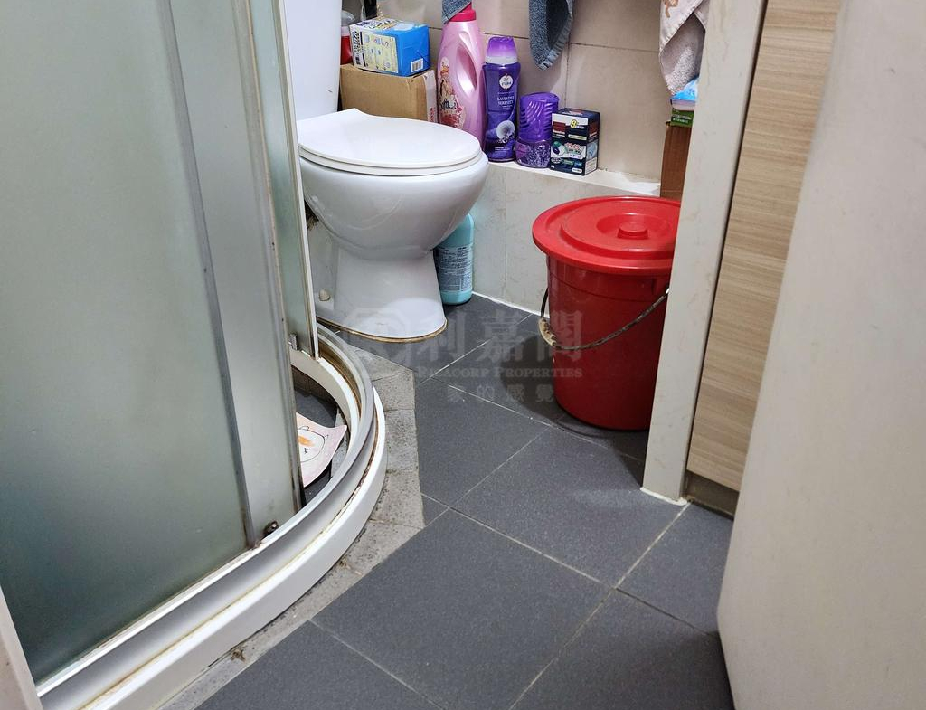 尚翠苑 A座 (翠湖閣) - 28NTS – 香港北部都會區