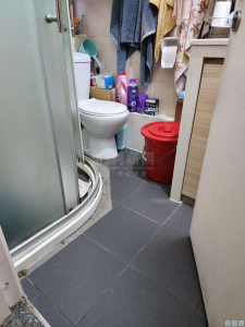 尚翠苑 A座 (翠湖閣) - 28NTS – 香港北部都會區