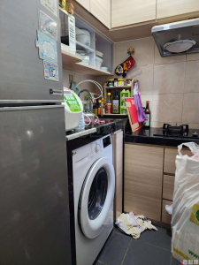 尚翠苑 A座 (翠湖閣) - 28NTS – 香港北部都會區