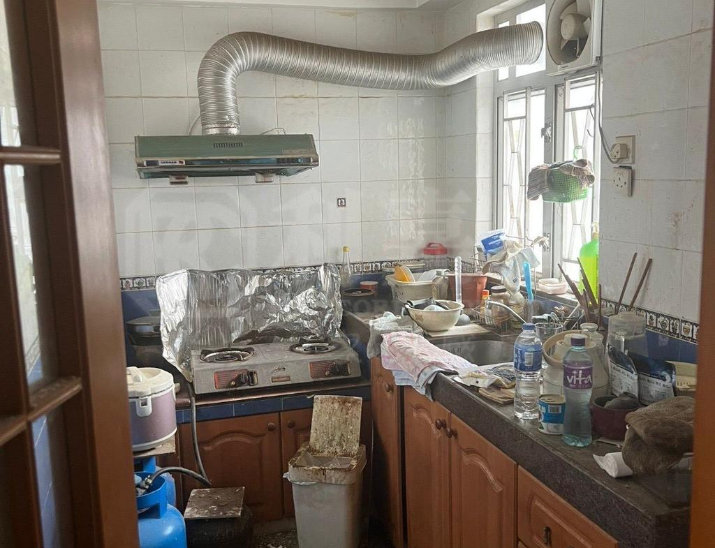 兆明樓 - 28NTS – 香港北部都會區