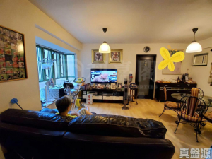 華翠豪園 1座 - 28NTS – 香港北部都會區