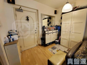 華翠豪園 1座 - 28NTS – 香港北部都會區