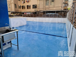 好景樓 - 28NTS – 香港北部都會區