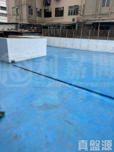 好景樓 - 28NTS – 香港北部都會區