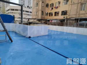 好景樓 - 28NTS – 香港北部都會區