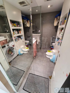 藍澄灣 1座 - 28NTS – 香港北部都會區