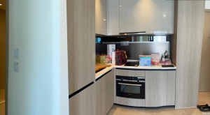 WETLAND SEASONS PARK 1期 10座 - 28NTS – 香港北部都會區