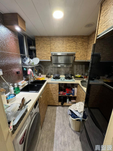 兆康苑 兆暉閣 (O座) - 28NTS – 香港北部都會區