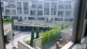 娉廷 - 28NTS – 香港北部都會區