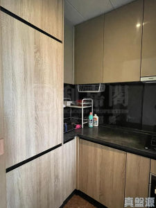 柏𣾷 1座 - 28NTS – 香港北部都會區