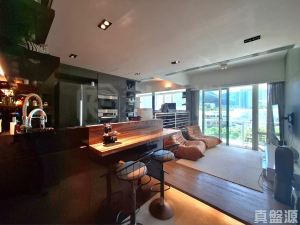 藍天海岸 4期 水藍‧天岸 2座 - 28NTS – 香港北部都會區