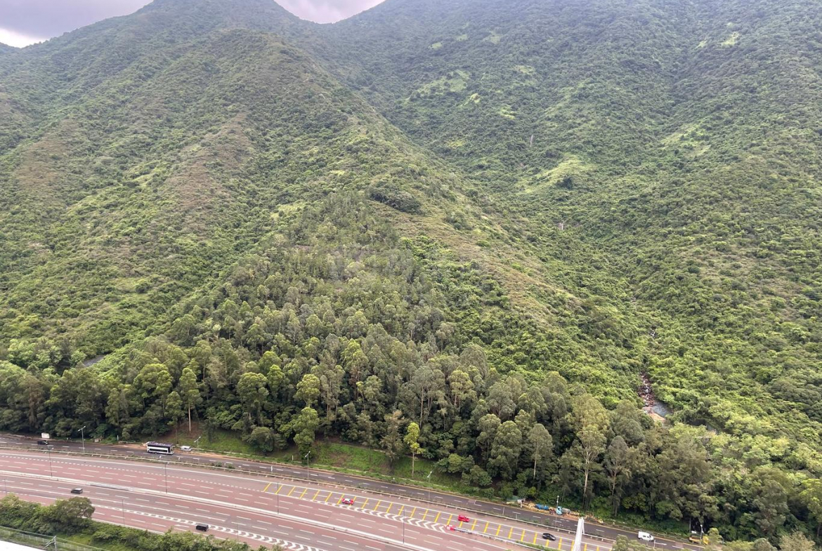 映灣園 3期 悅濤軒 海雲天 (12座) - 28NTS – 香港北部都會區