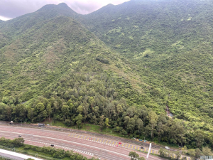 1762706594099189f6-5fc8-4ece-bdd8-24bdb9b2e146.jpeg 映灣園 3期 悅濤軒 海雲天 (12座) - 28NTS – 香港北部都會區