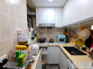 青怡花園 7座 - 28NTS – 香港北部都會區