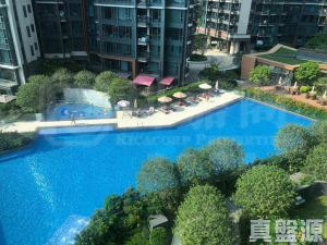 176271064562533d9c-2ccb-49fd-bac3-e2b36f833d51.jpeg 滿名山 滿庭 11座 - 28NTS – 香港北部都會區