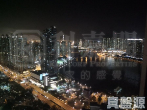 全．城匯 8座 - 28NTS – 香港北部都會區