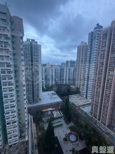 萬寶大廈 - 28NTS – 香港北部都會區