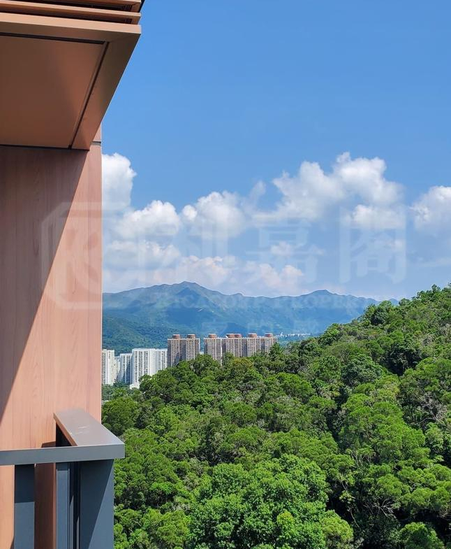 天鑽 8座 - 28NTS – 香港北部都會區