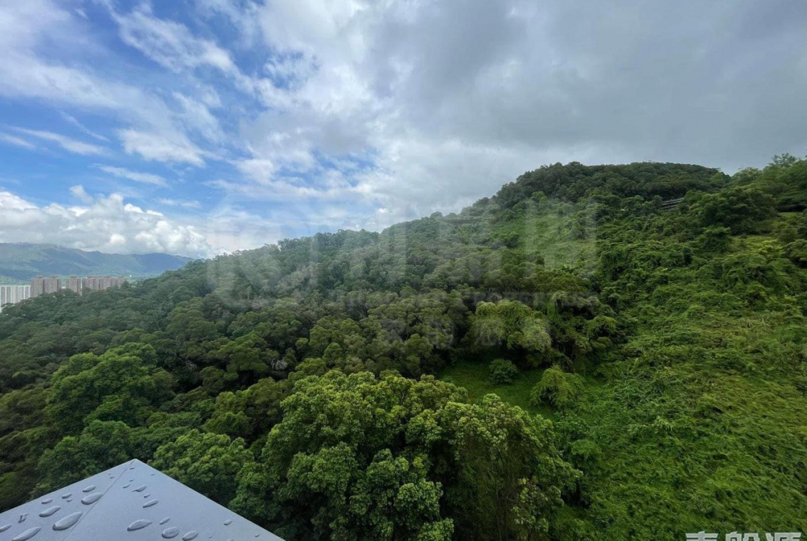 天鑽 8座 - 28NTS – 香港北部都會區