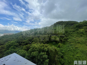 天鑽 8座 - 28NTS – 香港北部都會區