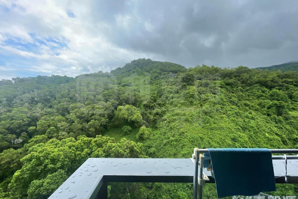 天鑽 8座 - 28NTS – 香港北部都會區